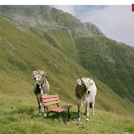 In Kirchdorf Near Slopes, Cleaning Included